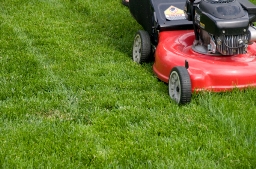 mow lawn1